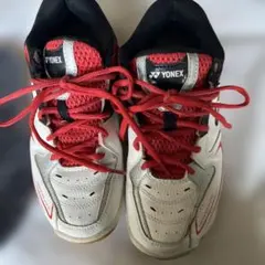 Item thumbnail for item 1aebeb0f-2afe-43ae-9fc6-8f9f3b3d0cd9