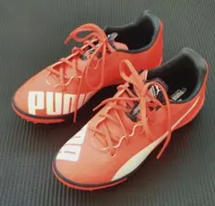 Item thumbnail for item 05cb7783-edc1-4edd-8b27-b0c87cbc66af