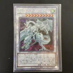 シューティングスタードラゴン　プリズマ　psa10 プラスワン シューティングスタードラゴン プリズマ psa10 プラスワン
