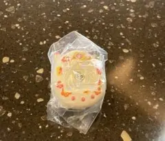 大たまごっち展 ミニチュアチャームコレクション 30th