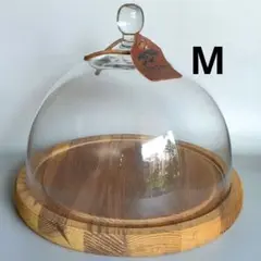 ダルトン DULTON ガラスドーム M ディスプレイケース 木製台座