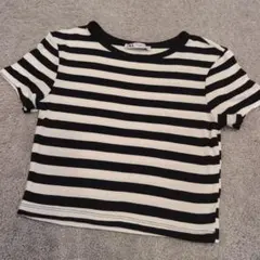 ZARA ストライプ クロップドTシャツ 半袖