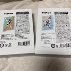 ハイキュー 仙台観光特使就任記念 アクリルブロック