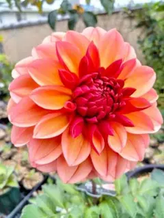 じんぷー様 リクエスト 3点 送料値引き済まとめ商品