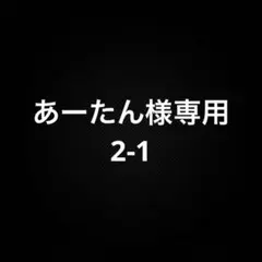 あーたん様専用 2-1