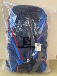 サレワ SALEWA 900BLACK25L レインカバー内臓 - メルカリ