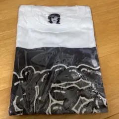 Item thumbnail for item 890c9327-6557-4f5b-ad23-5c54dbf74ec0