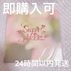 スタフォニ パンフレット