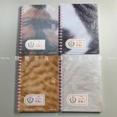 方眼ノート　A6 コクヨ　ソフトリングノート　ぷにぷに子ねこ　柄違い4冊　猫