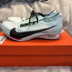 Nike ストリークフライ2 (27cm)
