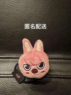 チャンビンdwaekki skzoo まとめ売り ぬいぐるみ straykids SKZOO チャンビン DWEKKI - メルカリ