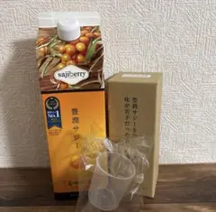 豊潤サジー　1000ml×2 特別価格】豊潤サジー 1000ml 2本セット - メルカリ
