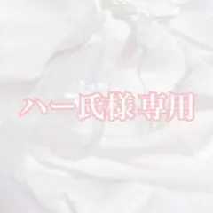 ハー氏様専用ページ