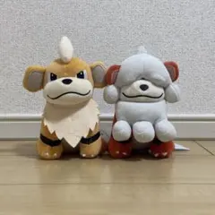 ポケモンフォーカス ぬいぐるみ ガーディ 通常 ヒスイのすがた 2点セット②のサムネイル