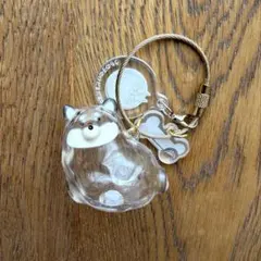 うちの子のけだまだま　黒柴　限定アソート