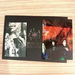 D'espairsRay/10TH ANNIVERSARY LIVE/DVD - メルカリ