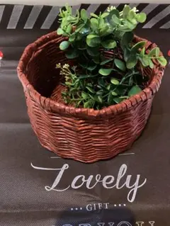 Item thumbnail for item d79d4f18-902d-4a03-b409-ce38e298005f