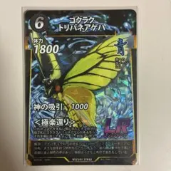 ゴクラクトリバネアゲハ