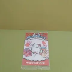 サンリオキャラクターズ　ウエハース　カード　こぎみゅん