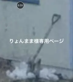 りょんまま様専用ページ