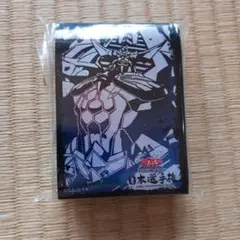 仮面ライダー電王 俺、参上！ 墨絵風 CakeRabbits スリーブ - メルカリ