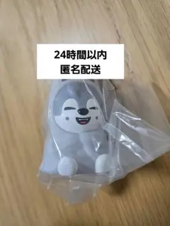 SKZOO ライトマスコット ガチャ ウルフチャン