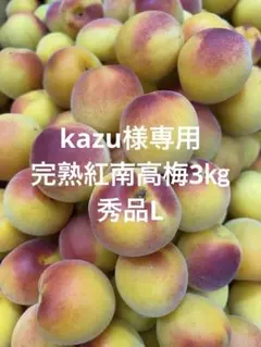 和歌山 露茜 5L 梅 5kg - メルカリ