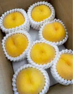 限定1セットのみ！沖縄県産☆マンゴー☆3箱：約6キロ☆化粧箱 - メルカリ
