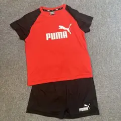 PUMA ジャージセット レッド/ブラック