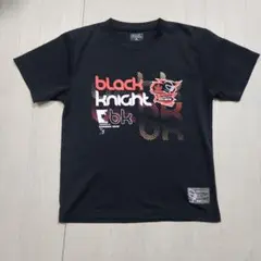 Item thumbnail for item 8161150a-2410-44c8-93f5-de9491fd5183