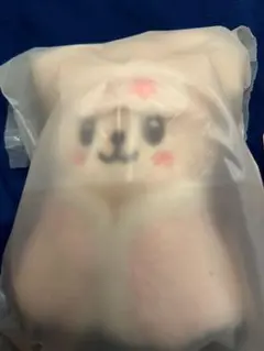 SKZOO PLUSH テディベアver. パピーム スンミン PuppyM - メルカリ