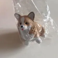 おすわりーぬ4 ふみーんこぎーぬ