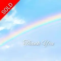 みー様専用【満月♡宇宙との繋がり☆上昇鳳凰】開運絵画風水