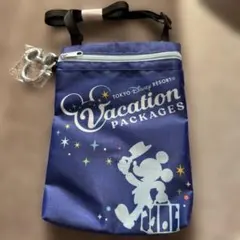 東京ディズニーリゾート バケーションパッケージ ポーチ