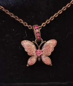 ANNA SUI 蝶モチーフ リバーシブルネックレス セット