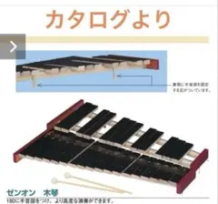 2025年最新】ゼンオン 木琴の人気アイテム - メルカリ