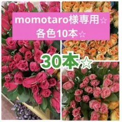 momotaro様専用です！