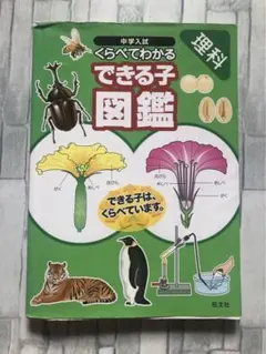 Item thumbnail for item 08af53c0-28cf-4c3a-8cd7-1fe80d50b77f