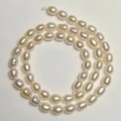 Item thumbnail for item aaa71378-6747-4c53-929c-750534540814