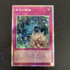 遊戯王　命王の螺旋　ドミナススパイラル　プリズマティックシークレット 命王の螺旋/プリズマティックシークレット【罠】《DOOD-JP079