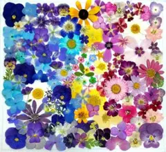 押し花素材　No11　ピンク青たっぷりセット　着色　小花