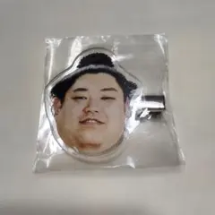 Item thumbnail for item e3bb934a-9578-46cf-a751-258010f6cdde