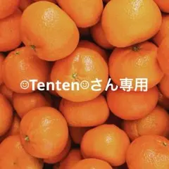 ☺︎Tenten☺︎さん専用