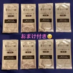 道の駅記念きっぷ ぐるっとパノラマ美幌峠 ゴールドきっぷ 5点セット
