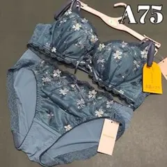 チュチュアンナ A75 永遠のブラ コロレブーケブラジャー&ショーツセットのサムネイル