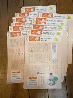 ひなの様 リクエスト 2点 まとめ商品