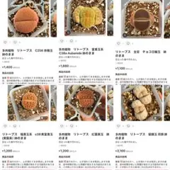 専用❤️同梱-250円はる様 リクエスト 6点 まとめ商品