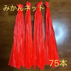 みかんネット 赤 75本