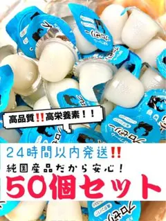 昆虫ゼリー　KBファーム　プロゼリー16g 50