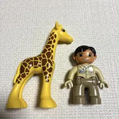 Item thumbnail for item 7e4e2d94-16d5-4a30-acf9-c348a999b643